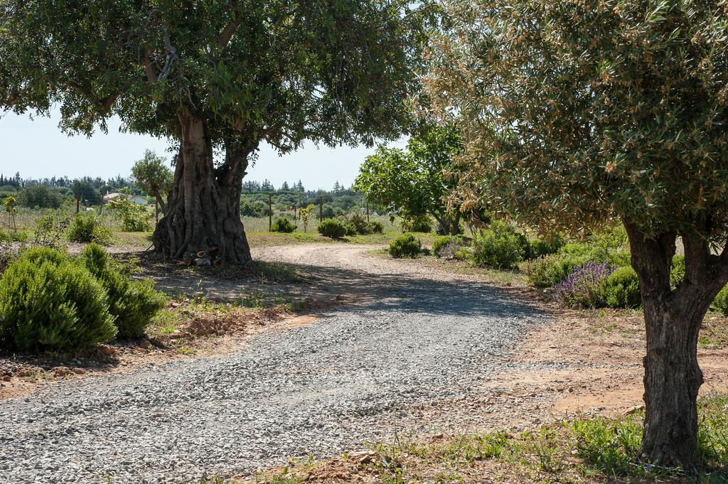 Pensao Agricola Pensionat Cabanas De Tavira Eksteriør billede