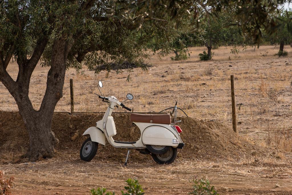 Pensao Agricola Pensionat Cabanas De Tavira Eksteriør billede