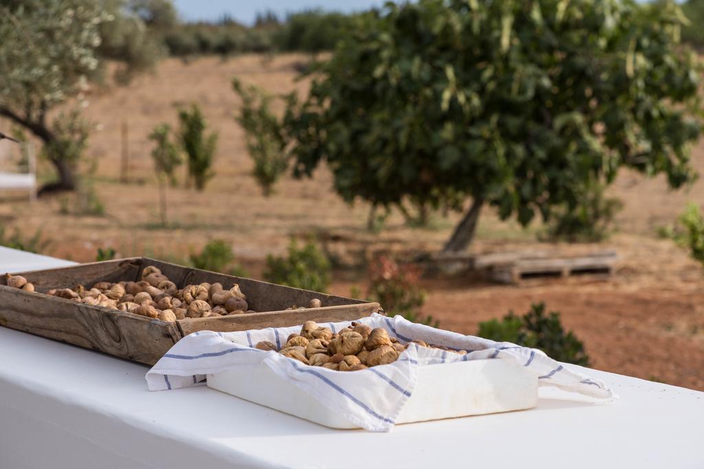Pensao Agricola Pensionat Cabanas De Tavira Eksteriør billede