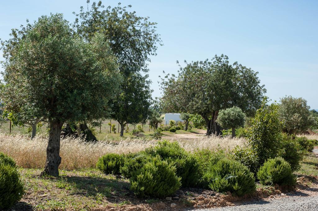 Pensao Agricola Pensionat Cabanas De Tavira Eksteriør billede